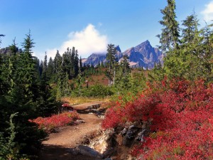 Park Butte Trail, North Cascades, WA